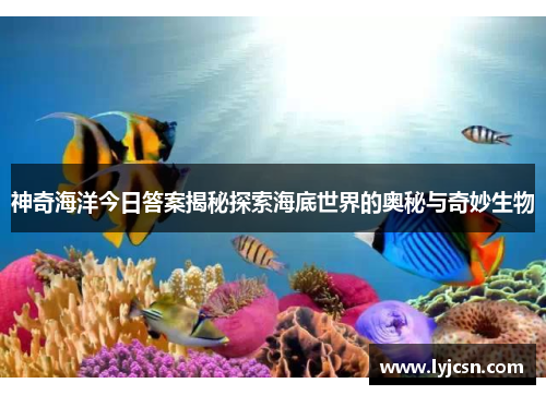 神奇海洋今日答案揭秘探索海底世界的奥秘与奇妙生物